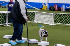 2022-March-Scent-Trial-442