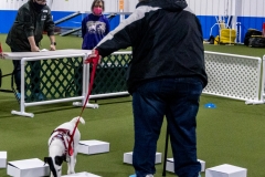 2022-March-Scent-Trial-443