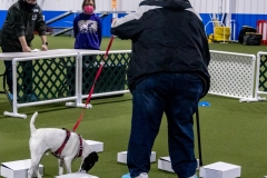 2022-March-Scent-Trial-444