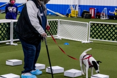 2022-March-Scent-Trial-445