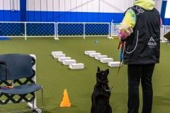 2022-March-Scent-Trial-448