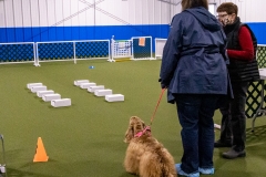 2022-March-Scent-Trial-457