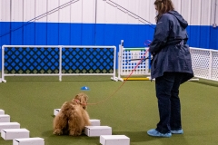 2022-March-Scent-Trial-458