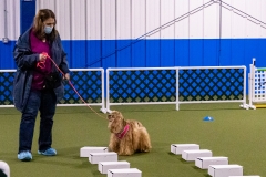 2022-March-Scent-Trial-459