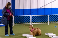 2022-March-Scent-Trial-461