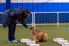 2022-March-Scent-Trial-462