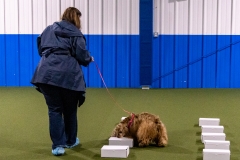 2022-March-Scent-Trial-463