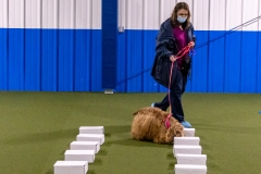 2022-March-Scent-Trial-464