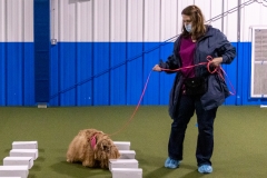 2022-March-Scent-Trial-465