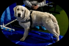 2022-March-Scent-Trial-468