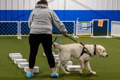 2022-March-Scent-Trial-469