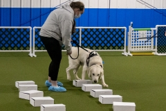 2022-March-Scent-Trial-470