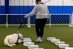 2022-March-Scent-Trial-471