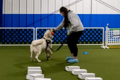 2022-March-Scent-Trial-473