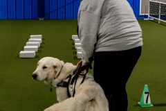 2022-March-Scent-Trial-474