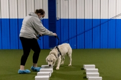 2022-March-Scent-Trial-475