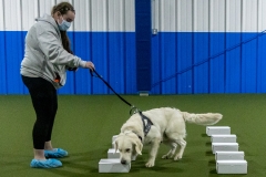 2022-March-Scent-Trial-476