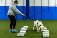 2022-March-Scent-Trial-477