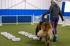 2022-March-Scent-Trial-481