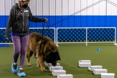 2022-March-Scent-Trial-482