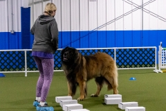 2022-March-Scent-Trial-483