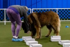 2022-March-Scent-Trial-484