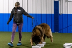 2022-March-Scent-Trial-486