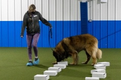 2022-March-Scent-Trial-487
