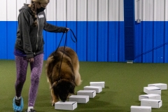 2022-March-Scent-Trial-488