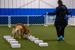 2022-March-Scent-Trial-491