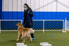 2022-March-Scent-Trial-492