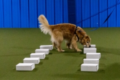 2022-March-Scent-Trial-493