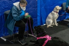 2022-March-Scent-Trial-496