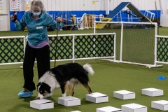 2022-March-Scent-Trial-498