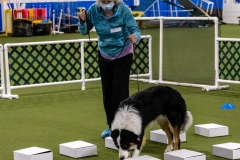 2022-March-Scent-Trial-500