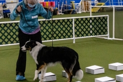 2022-March-Scent-Trial-501