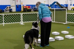 2022-March-Scent-Trial-503