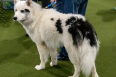 2022-March-Scent-Trial-512