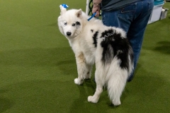 2022-March-Scent-Trial-513