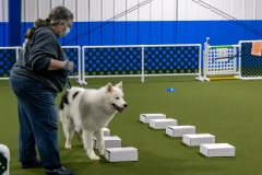 2022-March-Scent-Trial-515