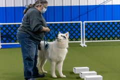 2022-March-Scent-Trial-517