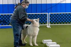 2022-March-Scent-Trial-518