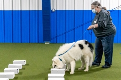 2022-March-Scent-Trial-520