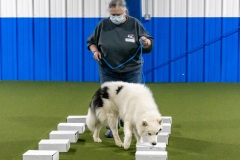 2022-March-Scent-Trial-521