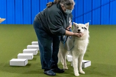 2022-March-Scent-Trial-524