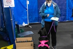 2022-March-Scent-Trial-525