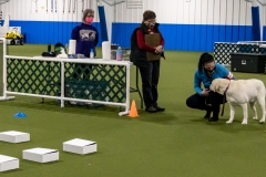 2022-March-Scent-Trial-527