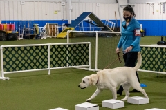 2022-March-Scent-Trial-529