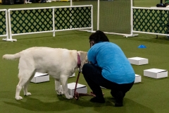 2022-March-Scent-Trial-531