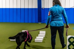 2022-March-Scent-Trial-532